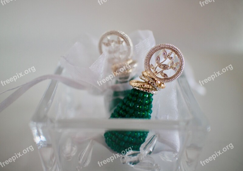 Earrings Jewelry Fashion Success Elegance