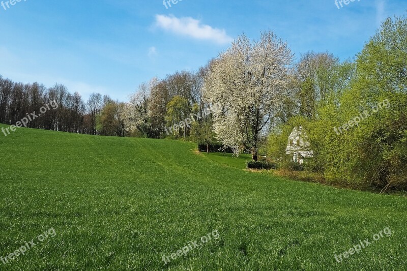 Landscape Field Nature Agriculture Spring