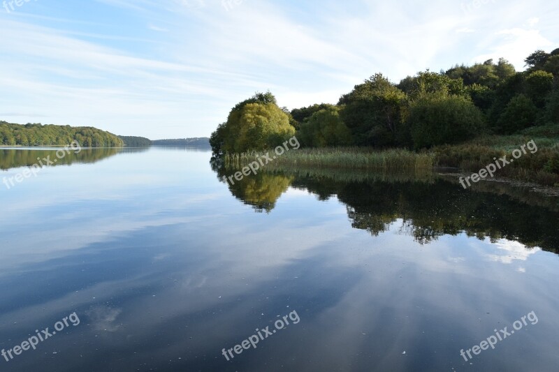 Forest Lake Water Trees Water Edge Landscape