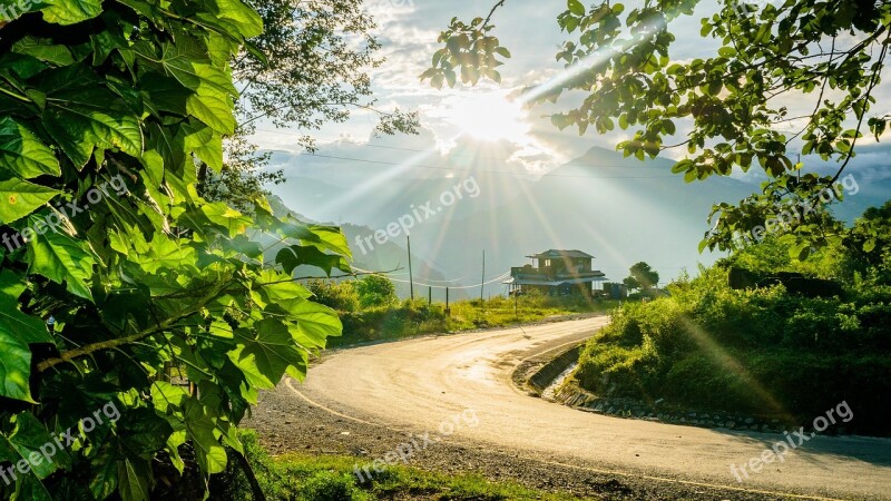 Pathway Road Sun Flare Path Sky