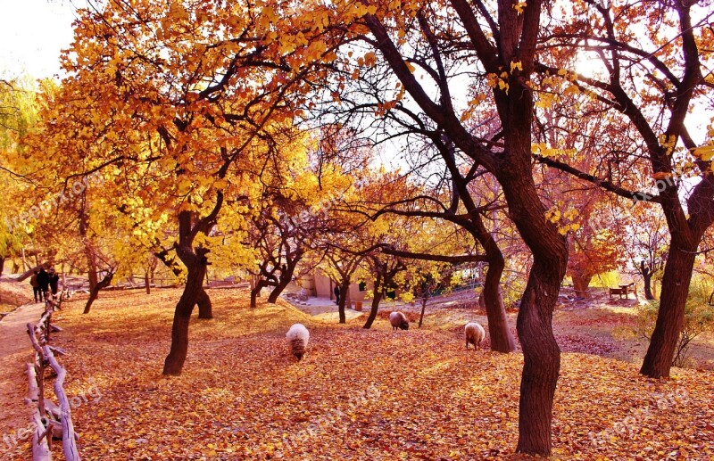 Hunza Autumn Mountain Valley Travel