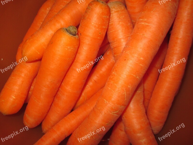 Carrots Vegetables Food Red Carrots Vegetarian