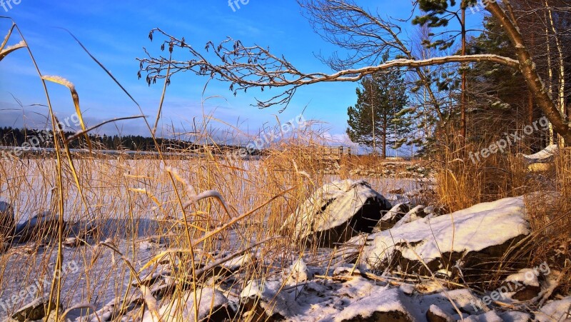 Beach Winter Finnish Landscape Beach Cottage