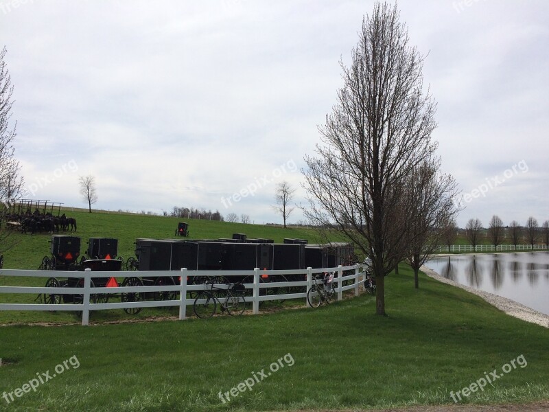 Amish Buggies Parking Dutch Free Photos