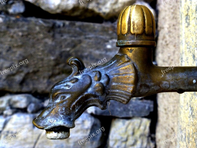 Faucet Gargoyle Fountain Italy Free Photos