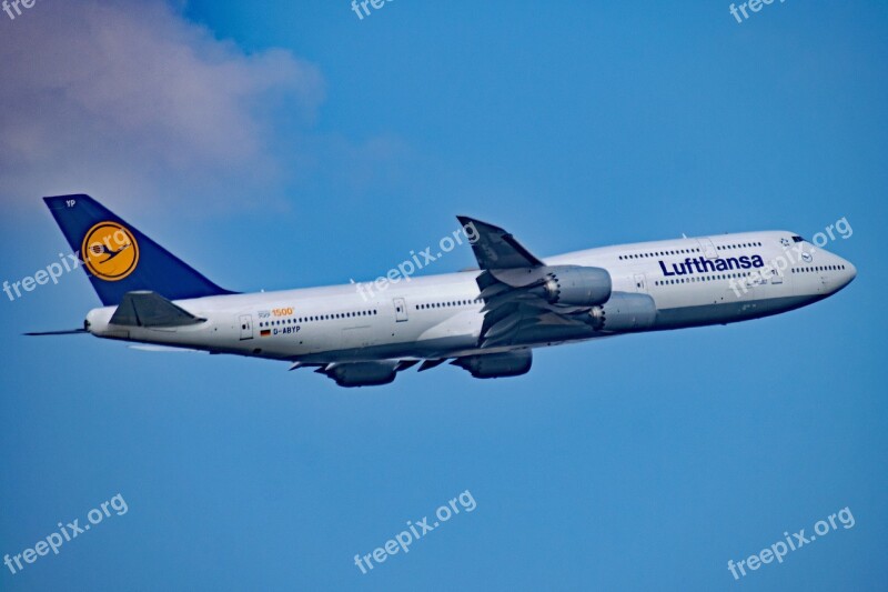 Lufthansa Aircraft Germany Airport Rhine-main