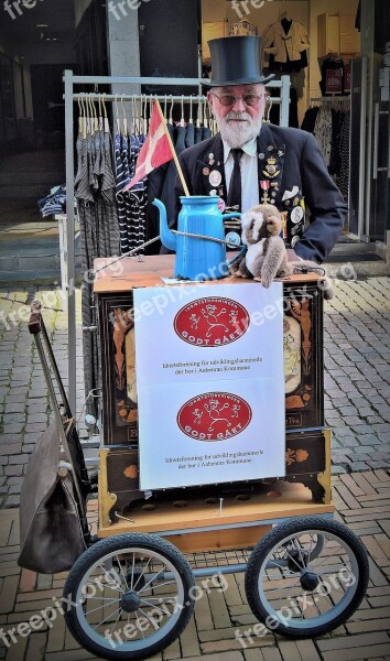 Denmark Hurdy-gurdy Player Danish Original Pedestrian Zone Old Barrel Organ