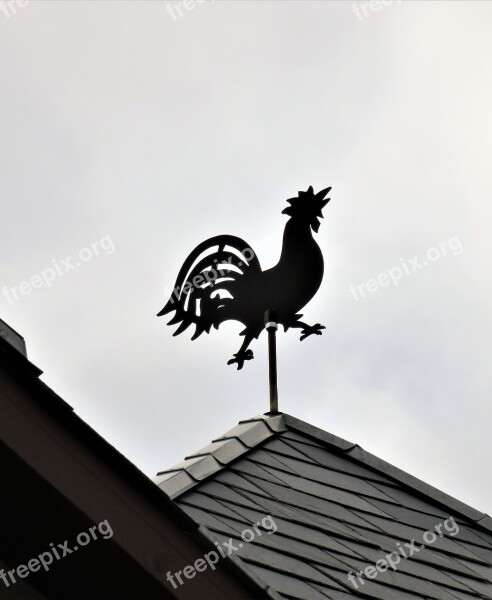 Weather Vane Hahn Figure Made Of Metal Black Housetop