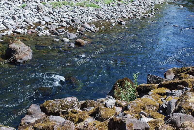 Salmon River Mount Hood Oregon Free Photos