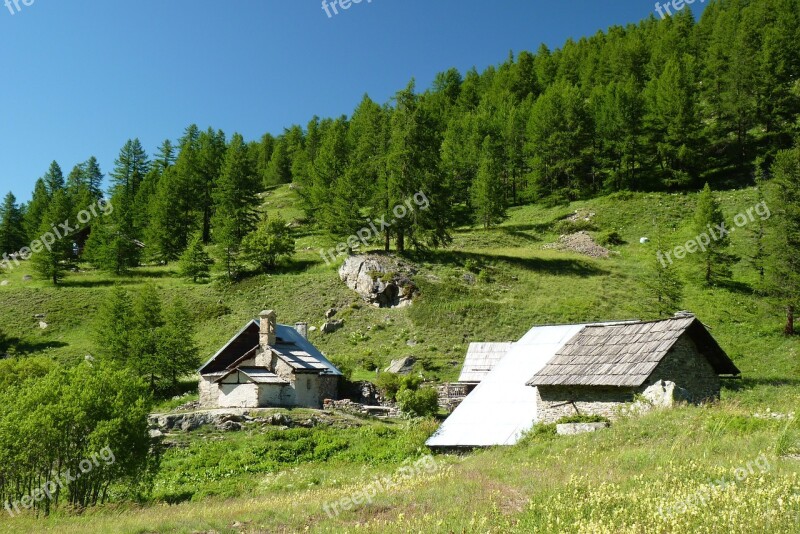 Alps Sheepfold Hautes Alpes Forest Fir