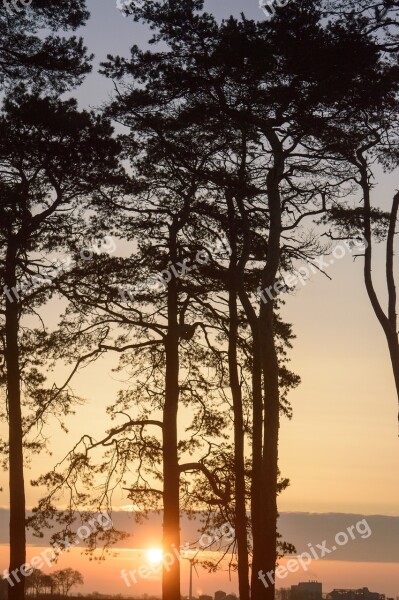 Forest Sunrise Laholm Sweden Morning Sky