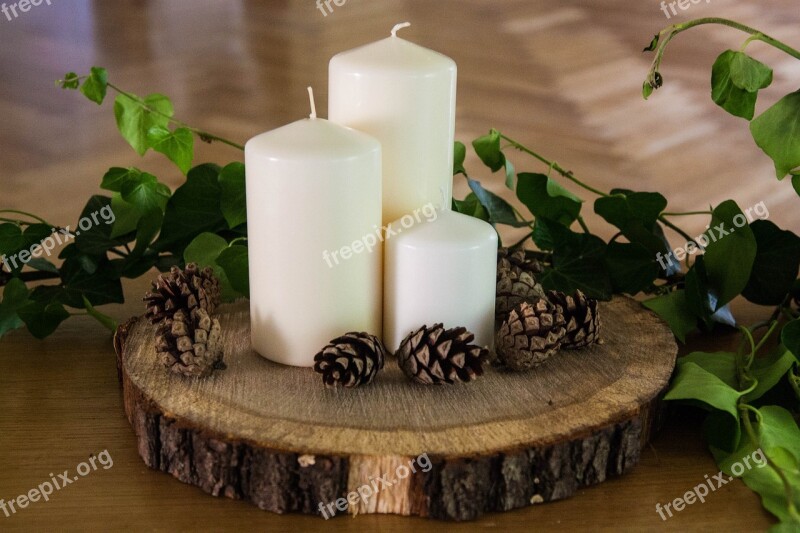 Candles Wood Nature Bark Donuts