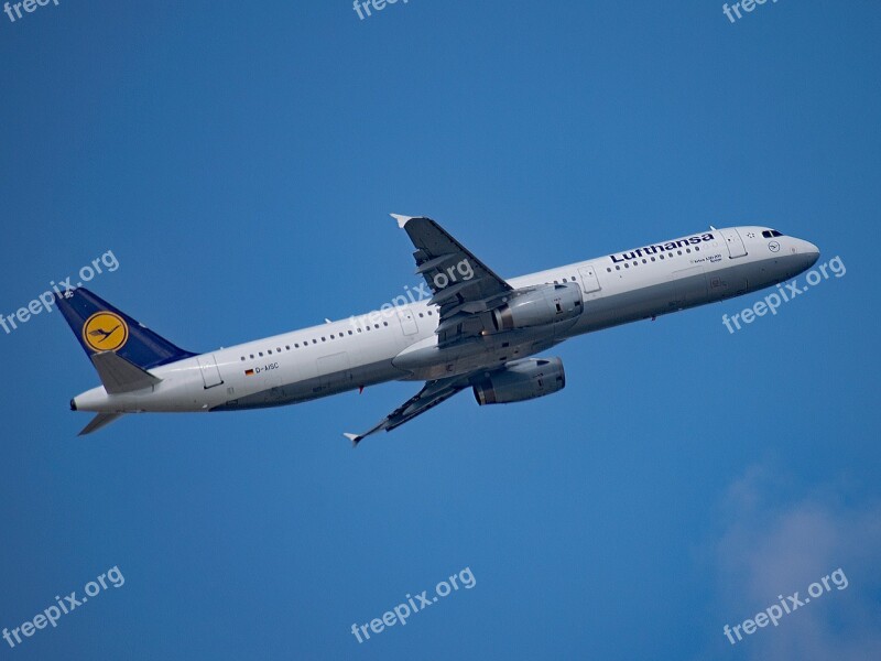 Lufthansa Aircraft Germany Airport Rhine-main