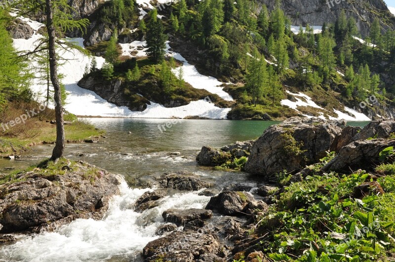 Bergsee Bach Tappenkarsee Water Landscape