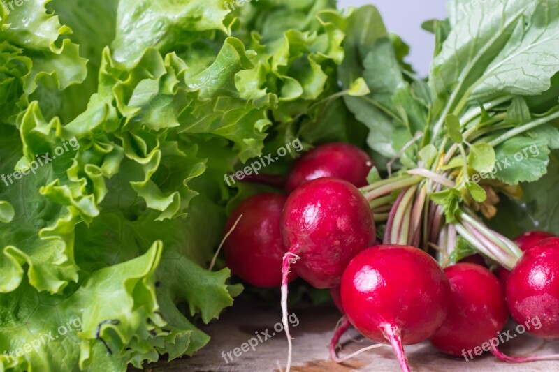 Garden Radish Vegetables Healthy Food Fresh