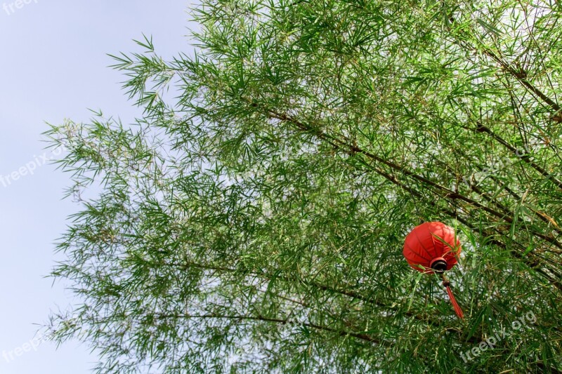 Bamboo Lantern Green Sky East