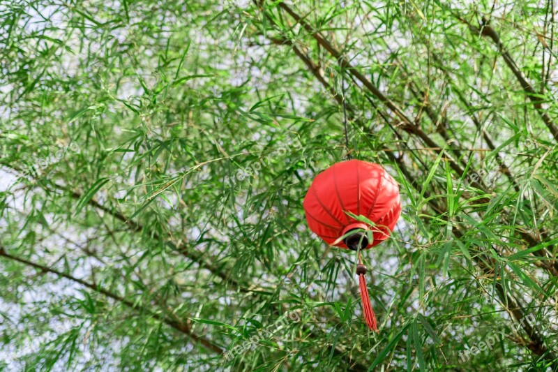 Bamboo Lantern Green Sky East