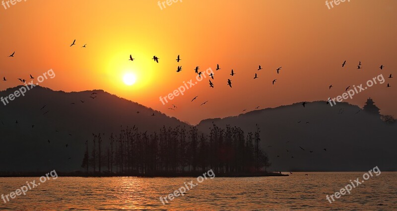 Sunset East Lake Wuhan Twilight Big Wild Goose Pagoda