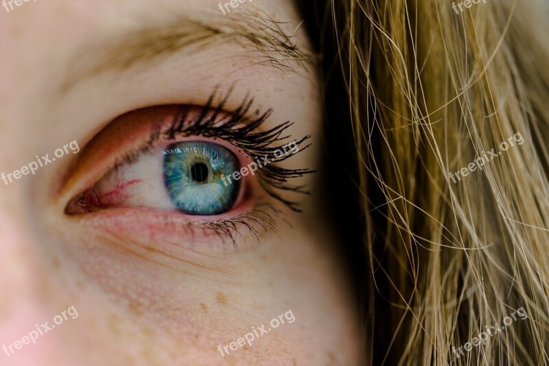 Iris Eye Look Free Photos