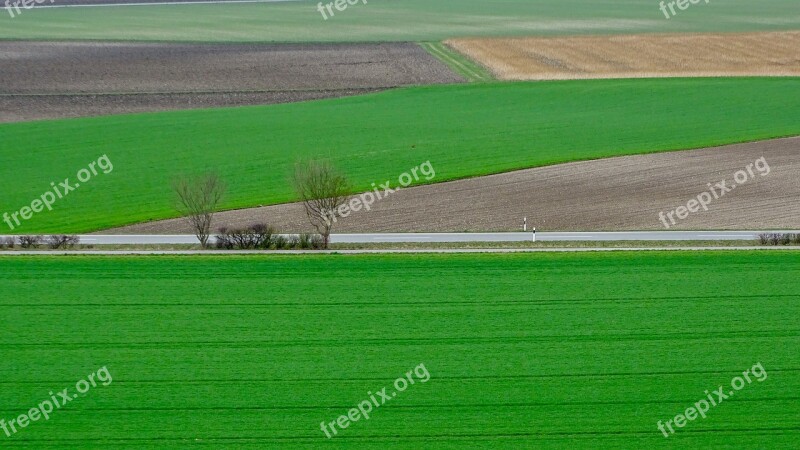 Agriculture Green Countryside Nature Plant