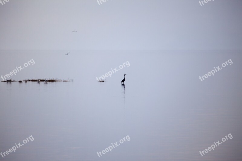 Lake Silent Rest Meditation Nature