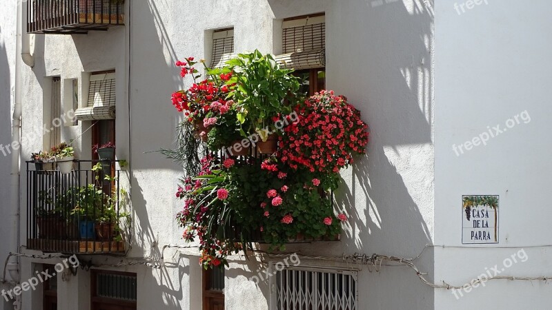 Window Flowers Spring Cheerful Window Facade