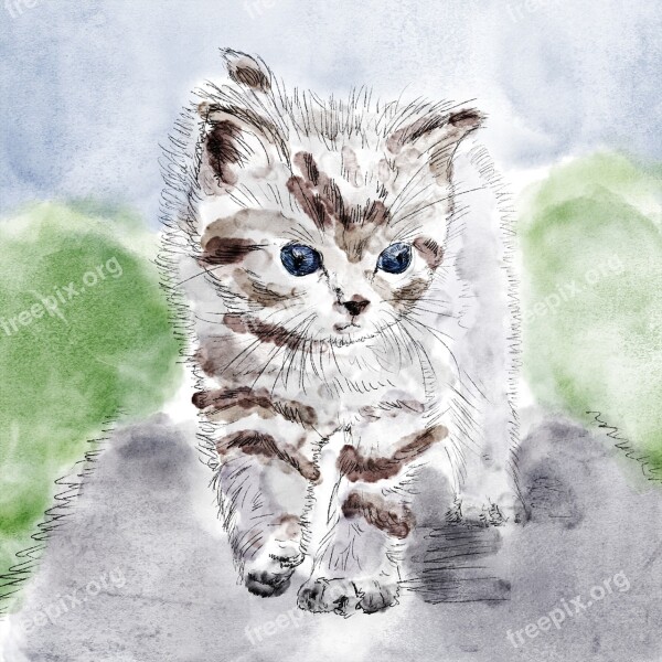 Cat Kitten Drawing Chick Grey