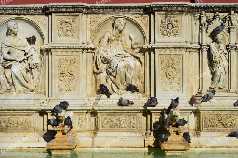 Pigeons History Fountain Italy Relief