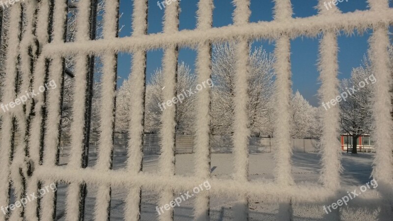 Fence Frost Ice Cold Winter