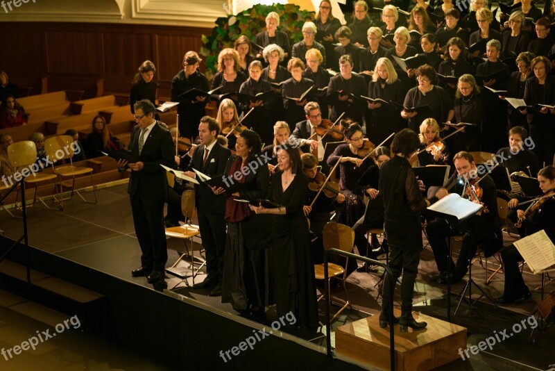 Classical Music Orchestra Choir Free Photos