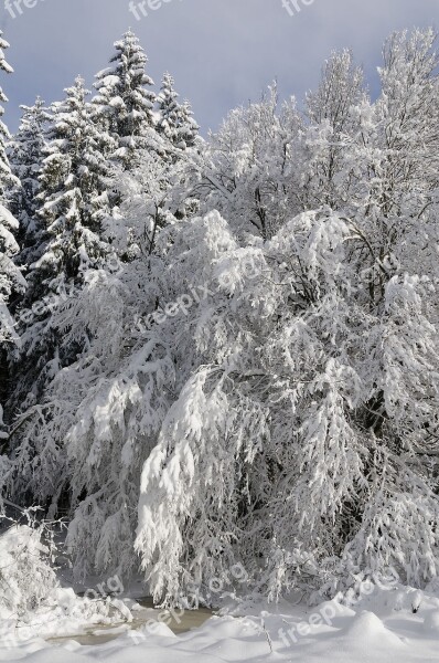 Traces Snow Summit Alps Nature