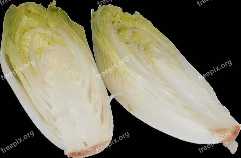 Chicory A Vegetable Vegetables Plant Cabbage