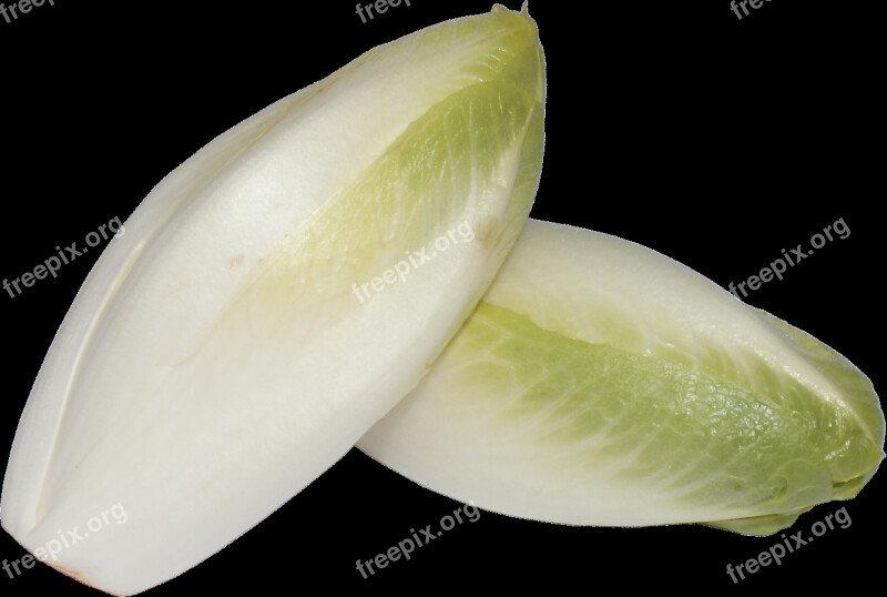 A Vegetable Chicory Foliage Cabbage Corrugated Leaves