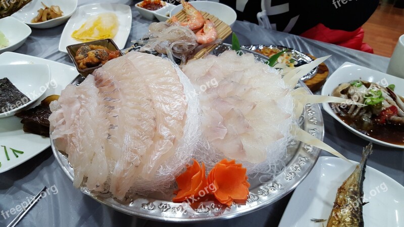 Fish Light Air Dining Room Eat Korea