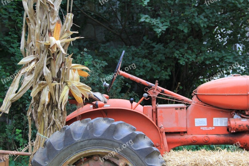 Tractor Corn Stalks Red Tractor Agriculture Farming