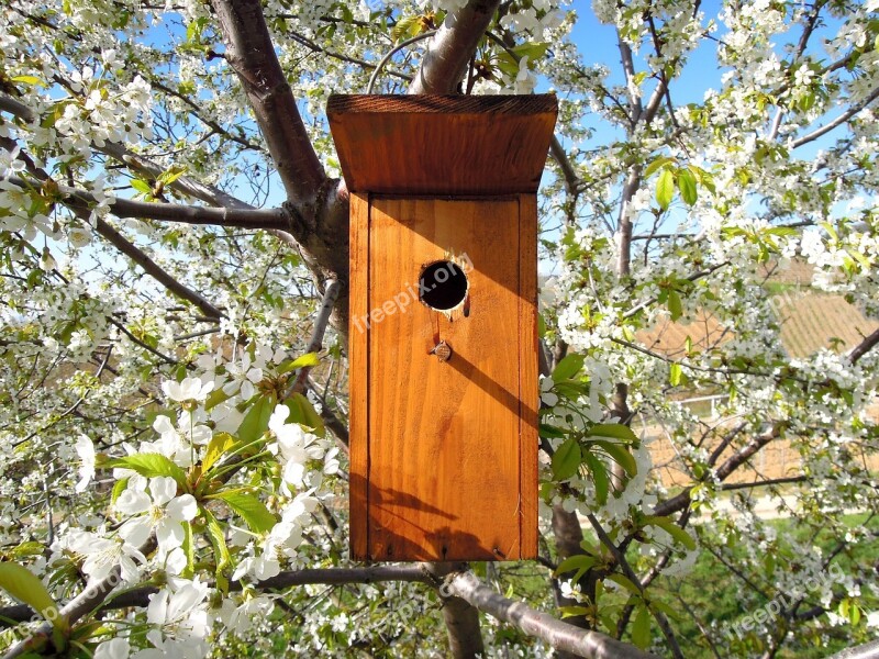 Bird's Lair Bird House Odu Bird Nature