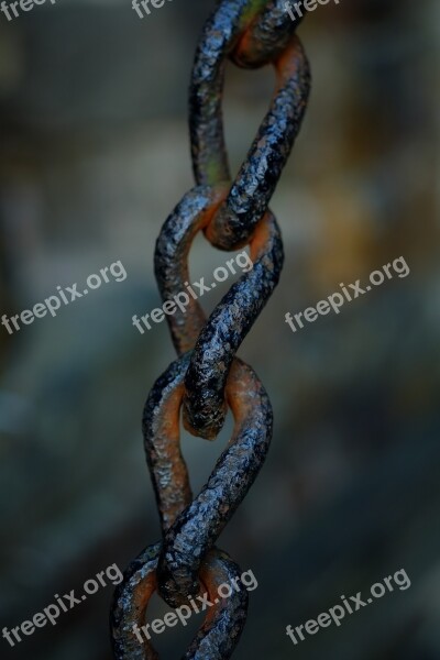 Chain Metal Steel Links Of The Chain Chain Link