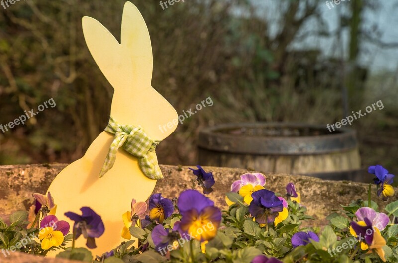 Easter Easter Bunny Hare Spring Happy Easter