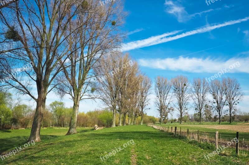 Landscape Meadowlands Trees Bare Branches Blue