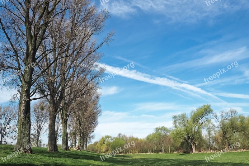 Landscape Meadowlands Trees Bare Branches Blue