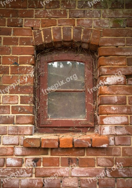 Window Wall Old Stone Wall Ingrowing