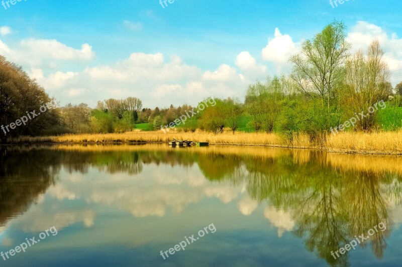 Landscape Meadowlands Trees Bare Branches Blue