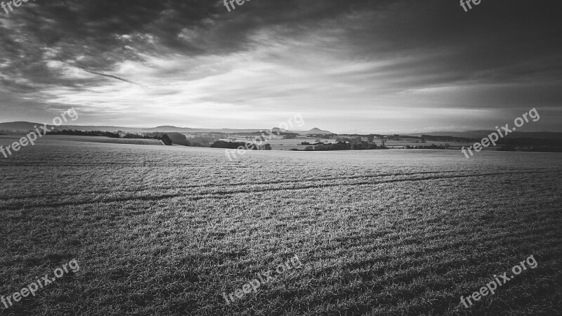 Field Landscape Nature Rural Nature Landscape