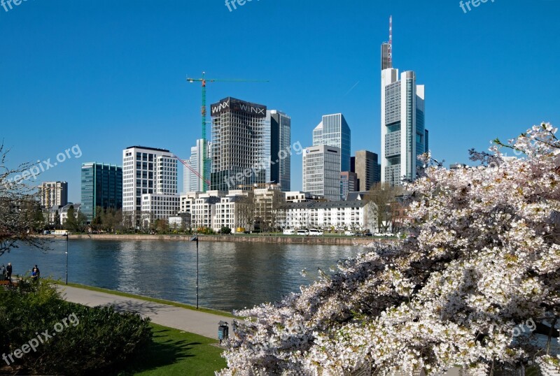 Frankfurt Main Hesse Germany Main Banks