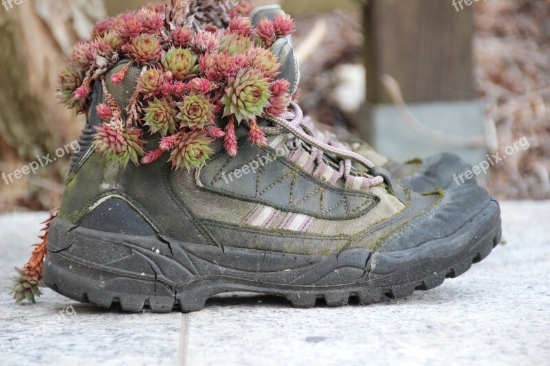 Hiking Shoes Shoes Gartendeko Planted Stone Wurz