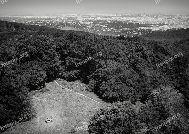 Vienna Austria Forest Glade View