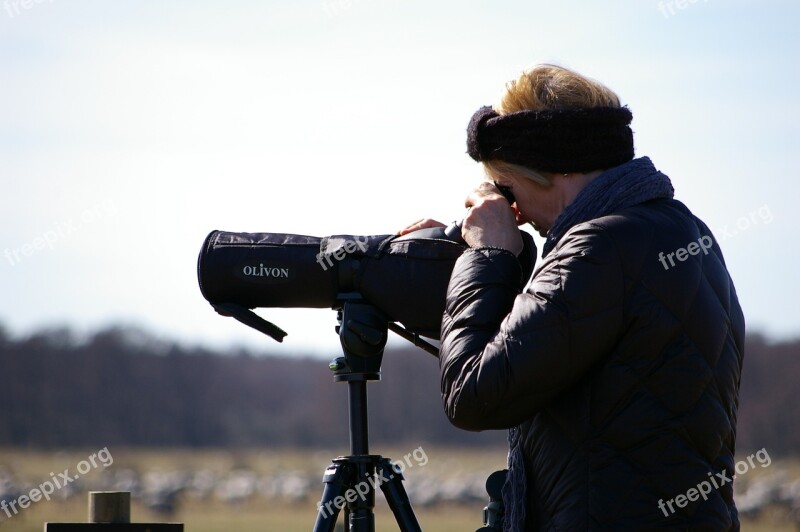 Binoculars Bird Watchers Focused Woman Leisure