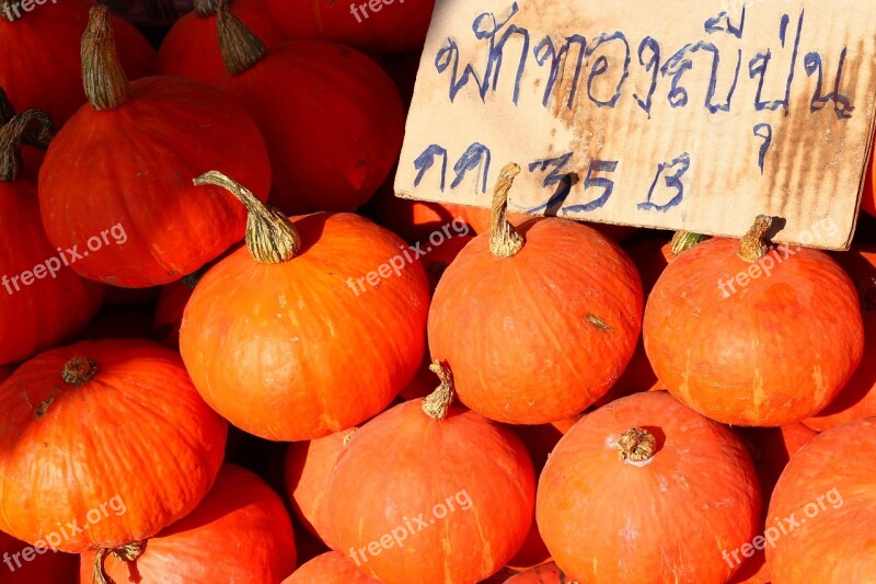 Pumpkin Orange Fresh Bright Nature