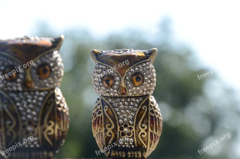 Owl Toy Stones Souvenir Bird