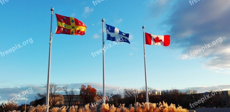 Flag Canada Québec Leaf Background